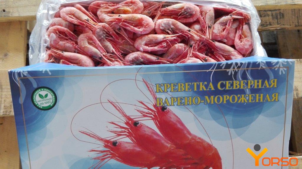 Northern prawn, precooked, 50/70