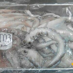 Octopus gutted, gutted, T1, T2, 1/24kg.