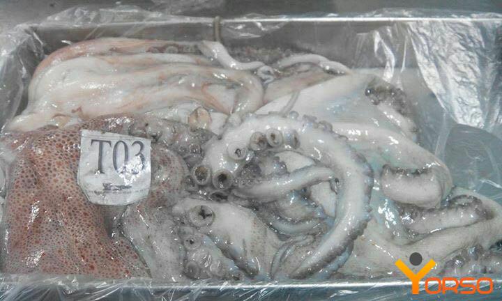 Octopus gutted, gutted, T1, T2, 1/24kg.