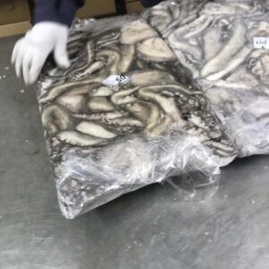 Octopus gutted, gutted, T5, 1/24kg.