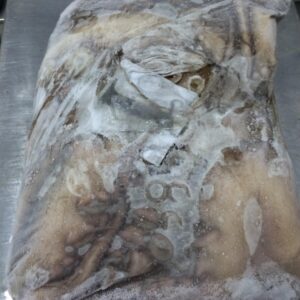 Octopus gutted, gutted, T6, 1/24kg.