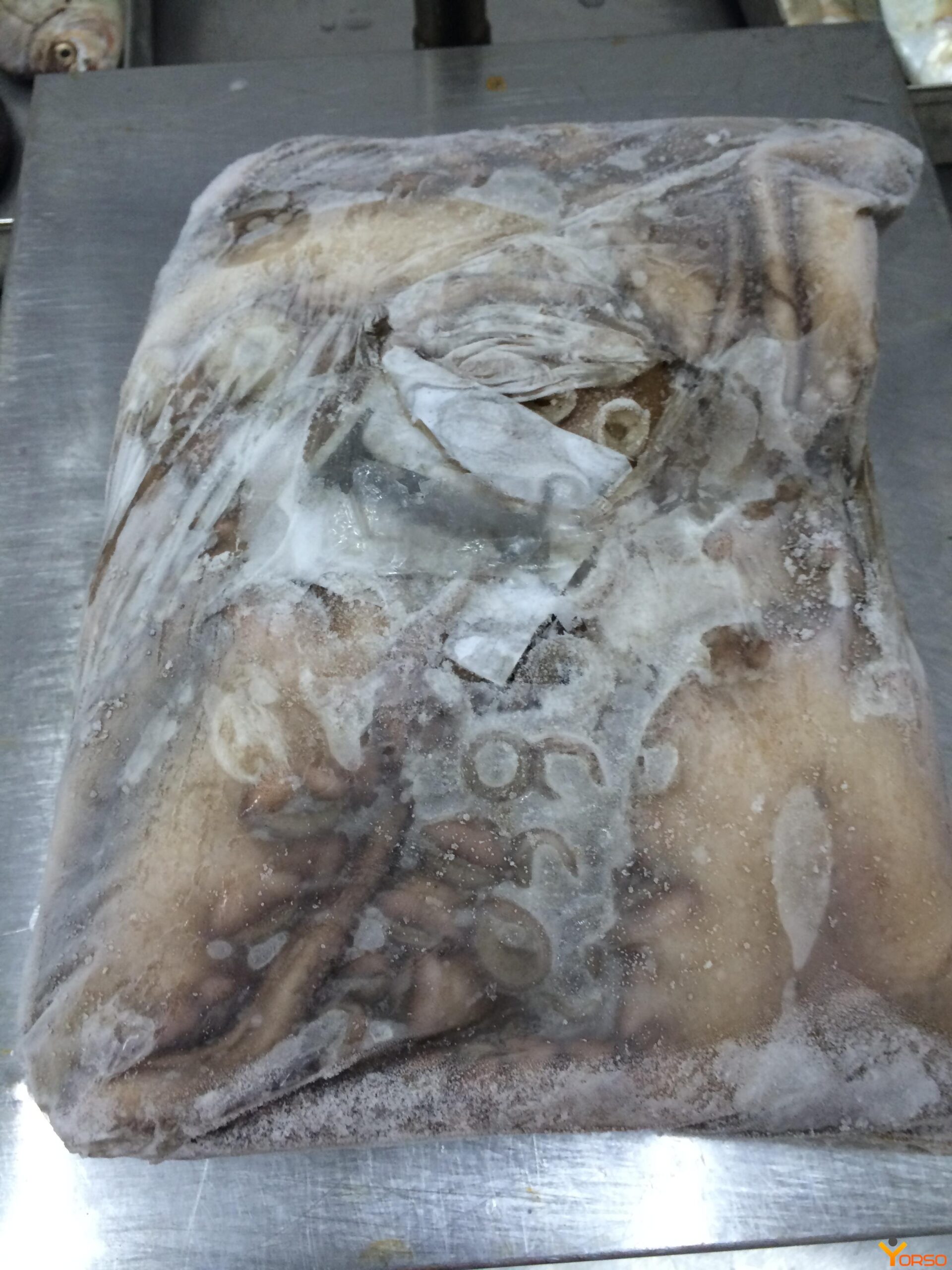 Octopus gutted, gutted, T6, 1/24kg.