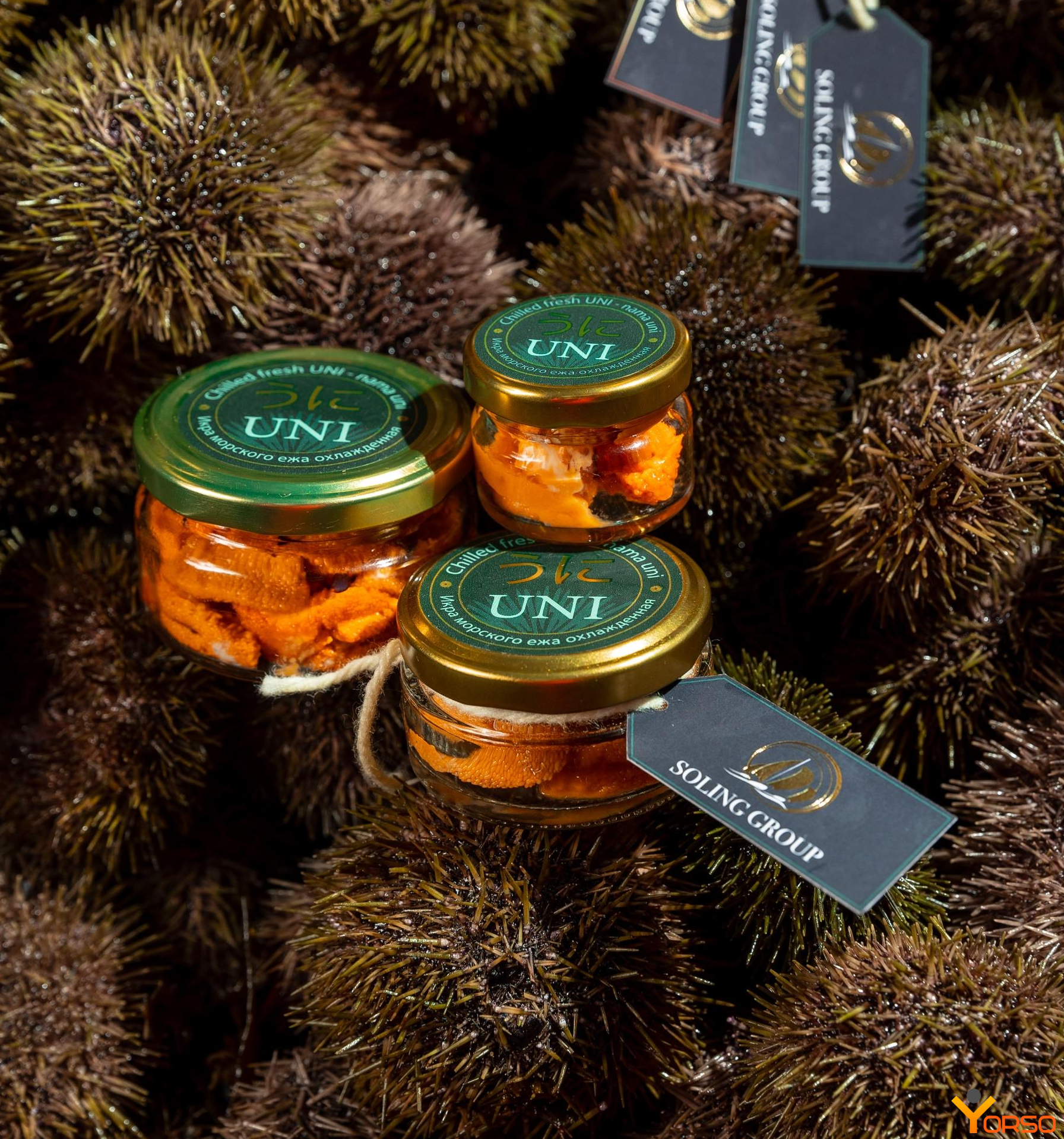 Sea Urchin caviar chilled in brine, UNI GOLD (Japanese technology)