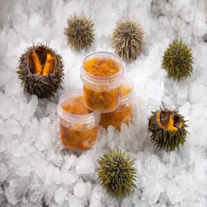 Sea Urchin caviar frozen in brine, 50g.