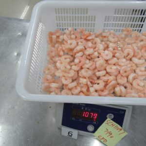 Whiteleg shrimp, precooked, P&D, 41/50