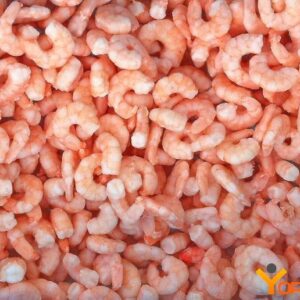 Whiteleg shrimp, precooked, PUD