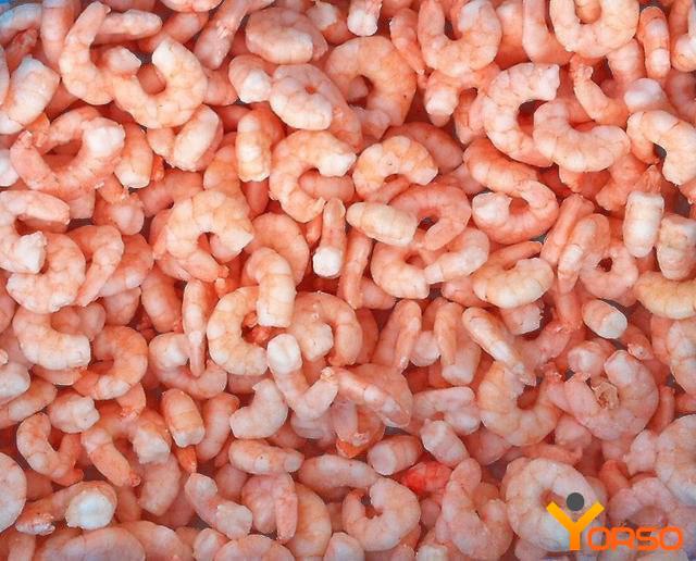 Whiteleg shrimp, precooked, PUD